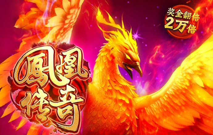333体育APP登录入口